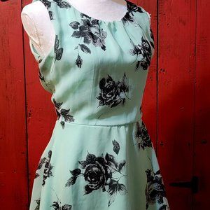 Dress Club, Size Medium, spring/summer dress, mint green and black